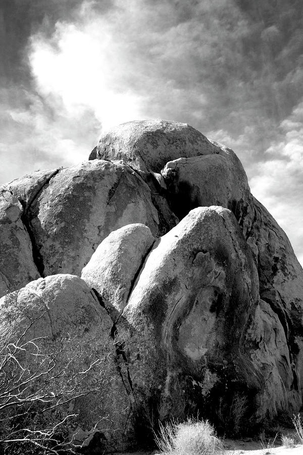 ROCK POWER Joshua Tree National Park Photograph by William Dey