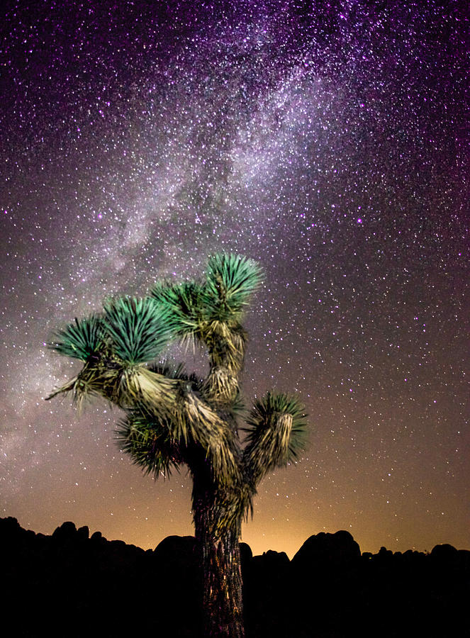 Joshua Tree Photograph - Joshua Tree Vs the Milky Way by Robert Aycock Joshua Tree Photograph - Joshua Tree Vs the Milky Way by Robert Aycock