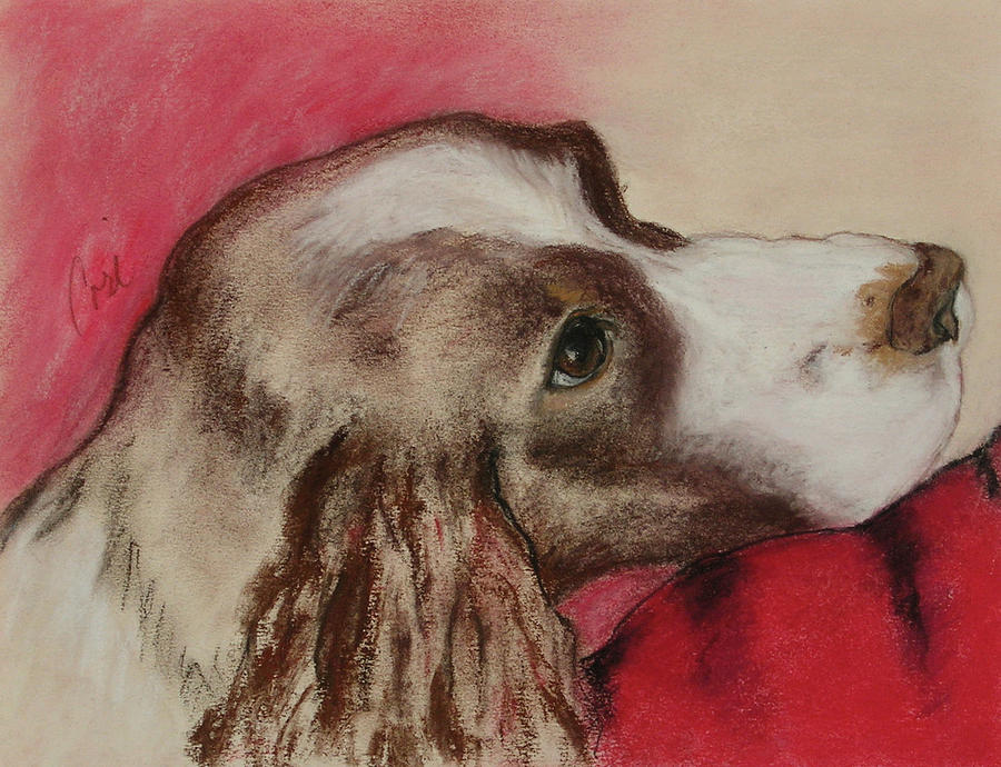 Dog Drawing - Jourdan by Cori Solomon
