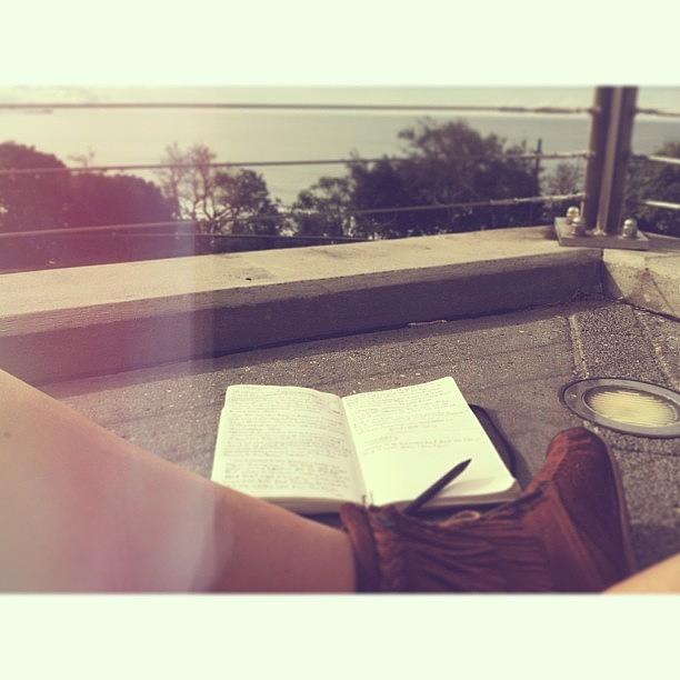 Nature Photograph - Journaling Afternoon // #lookout by Stephanie Talbot