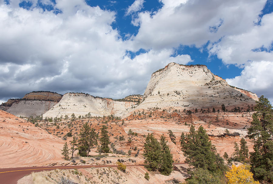 the journey to zion