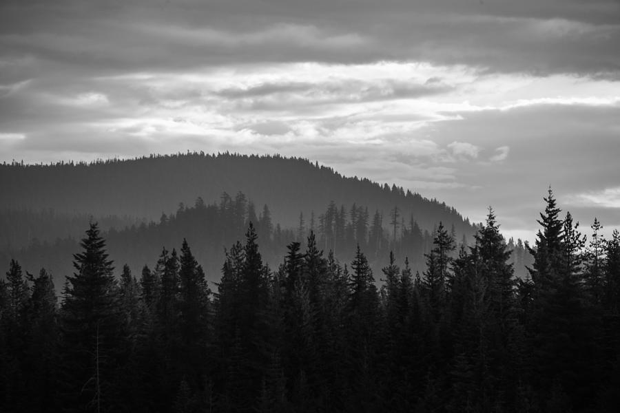 Journey to the Hood Mt. Hood Photograph by Yvonne Powell - Pixels