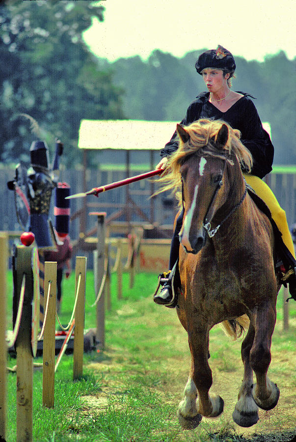 Jouster Photograph by Mike Flynn