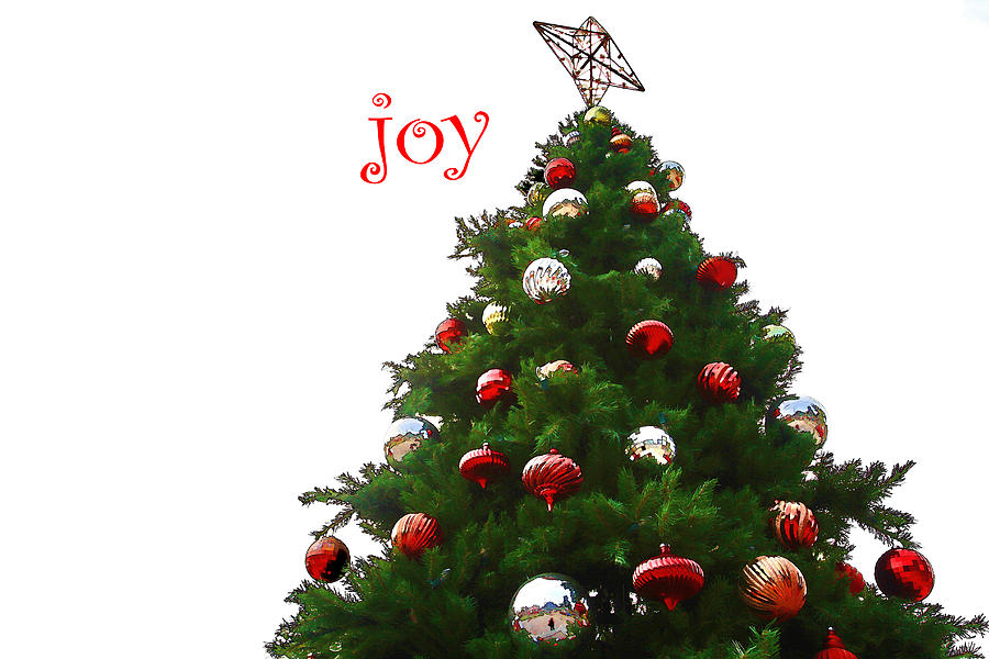 Christmas Photograph - Joy by Audreen Gieger