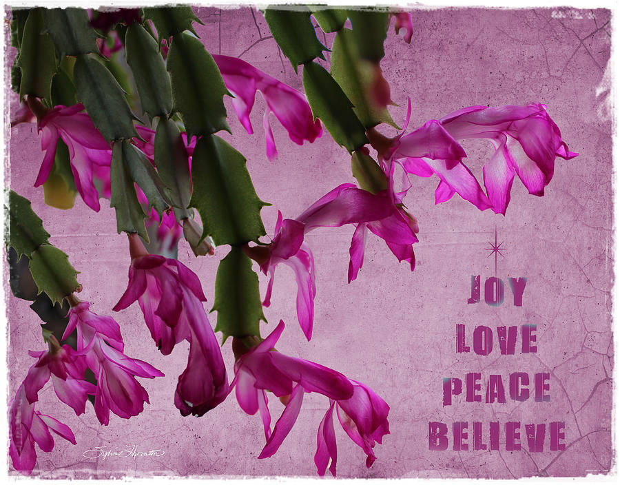 Joy Love Peace Believe Photograph by Sylvia Thornton