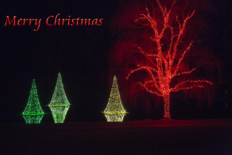 Joy of Christmas Lights Photograph by John Rivera
