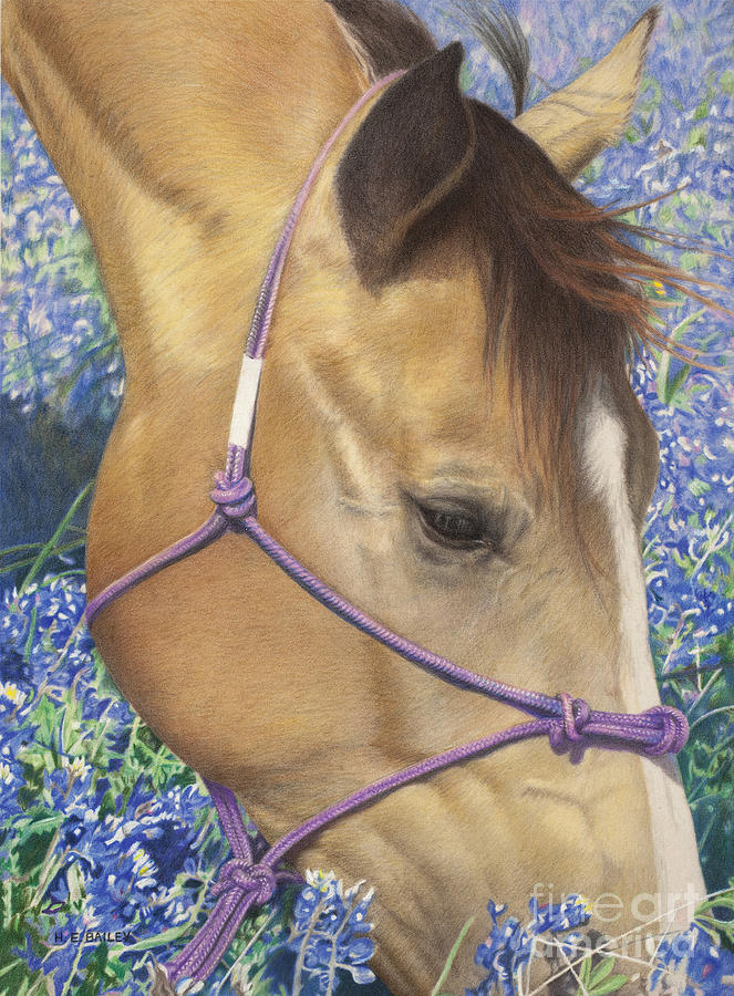 Horse Drawing - Joy of Spring by Helen Bailey