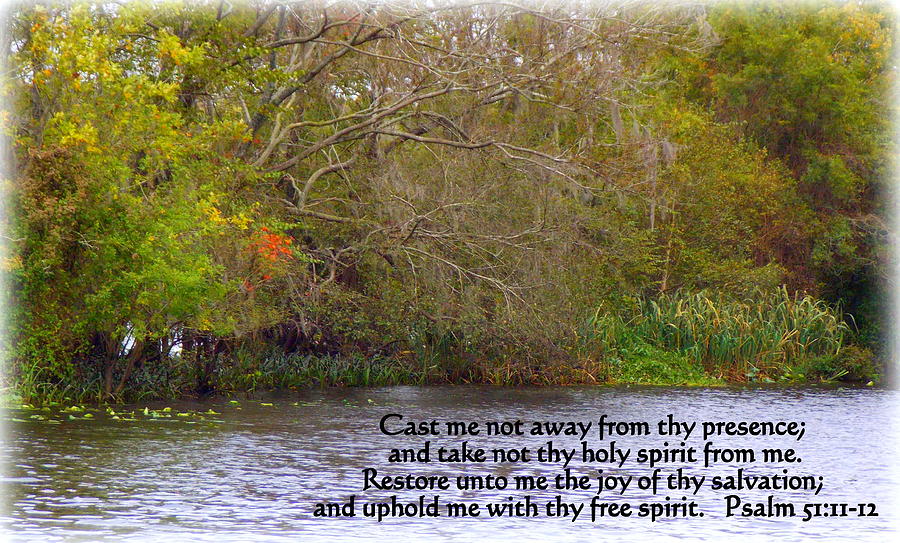 Joy Of Thy Salvation Photograph by Sheri McLeroy