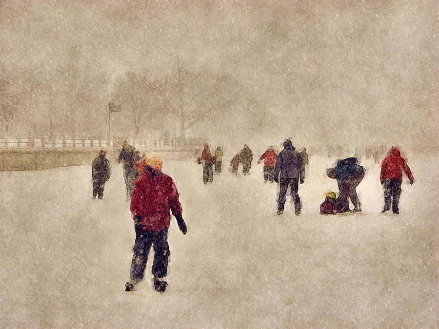 Joy of Winter Photograph by Celso Bressan