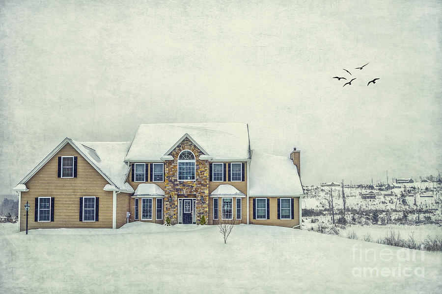 Winter Photograph - Joyless Trance Of Winter by Evelina Kremsdorf