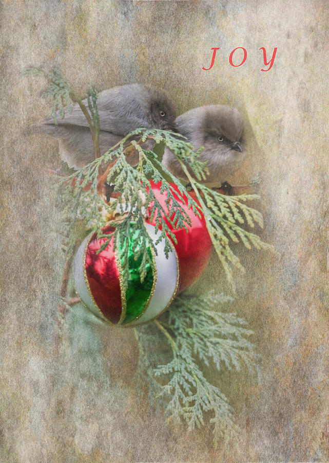 Christmas Photograph - Joyous Bushtits by Angie Vogel