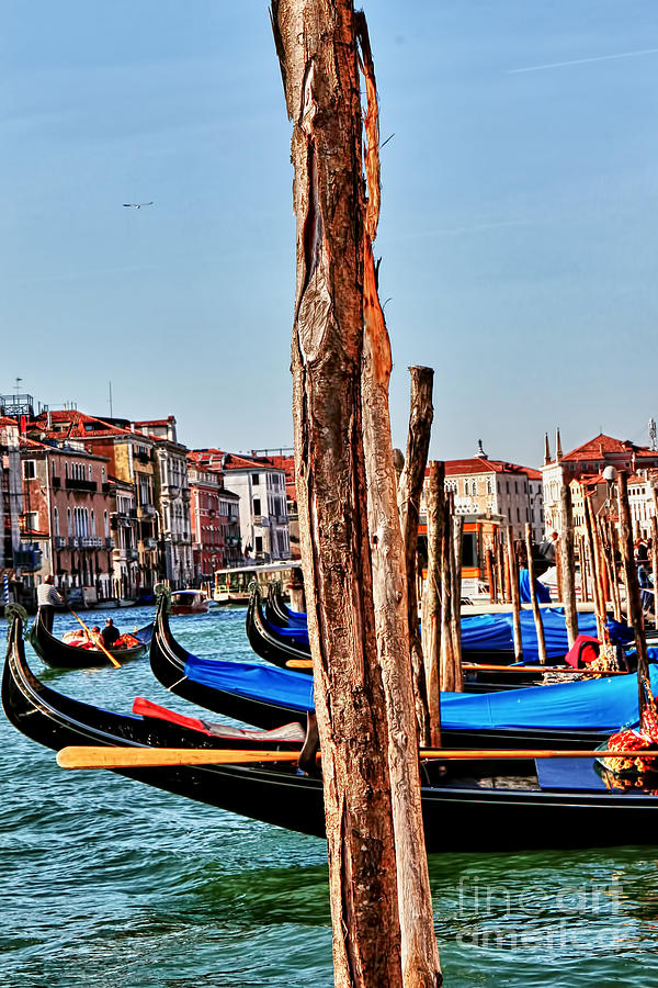 Joyride-Venice Italy Photograph by Tom Prendergast