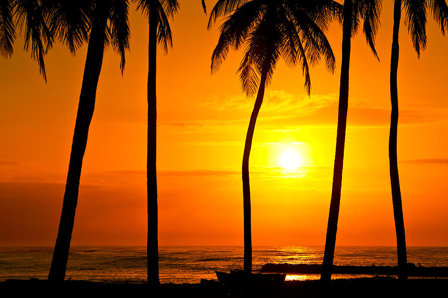 Juan Dolio Sunrise Photograph by Chris Austin