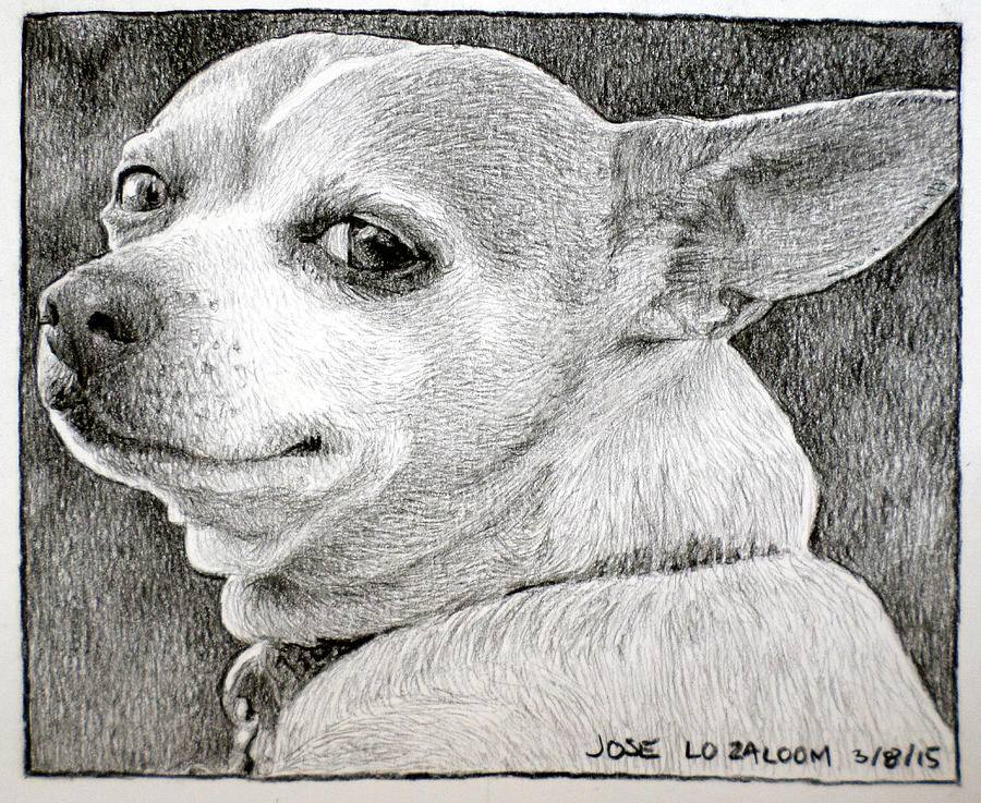 Dog Painting - Jose by Lorraine Zaloom