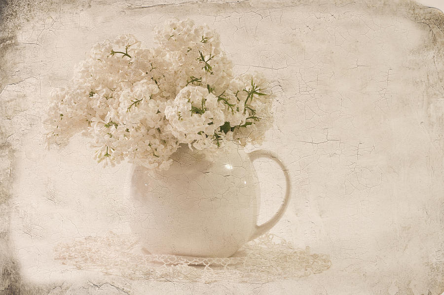 Jug Of White Lilacs Photograph by Sandra Foster