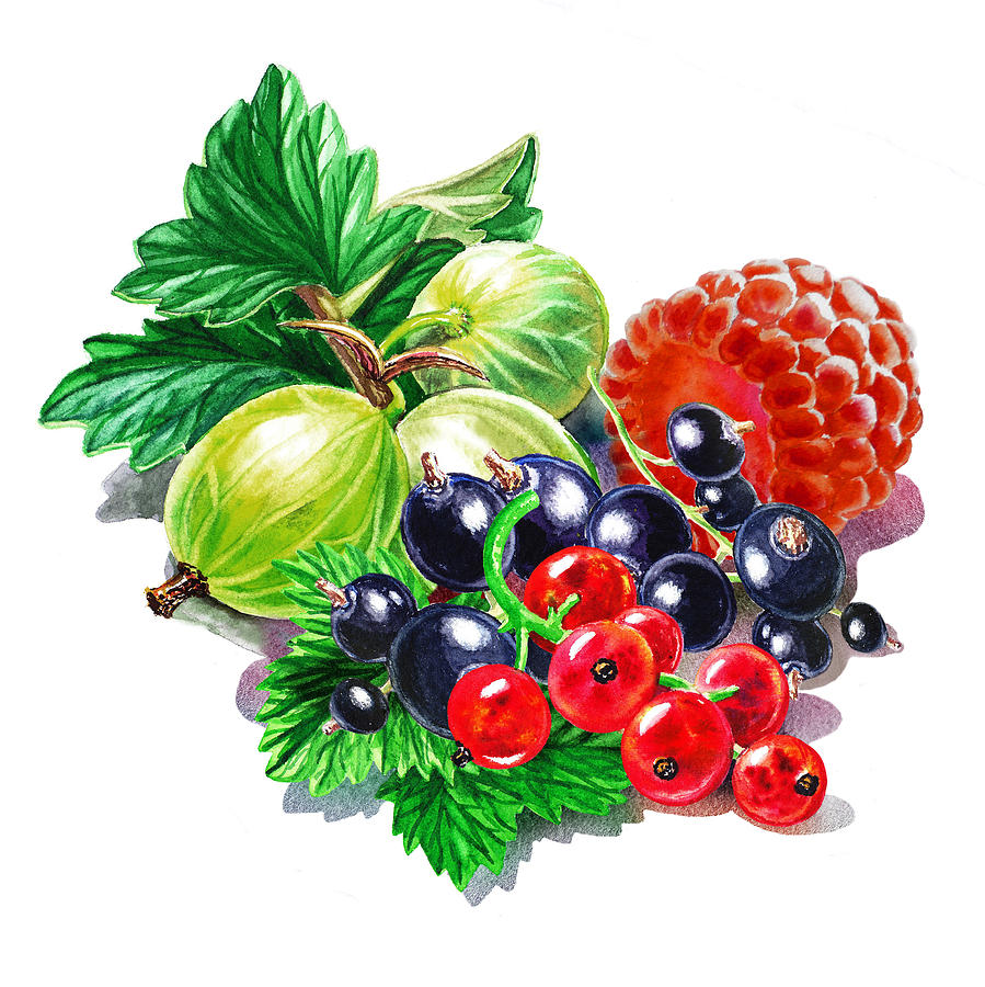 Nature Painting - Juicy Berry Mix  by Irina Sztukowski