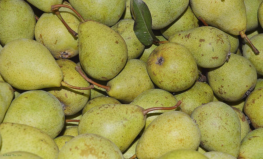 Juicy pears Photograph by Felicia Tica