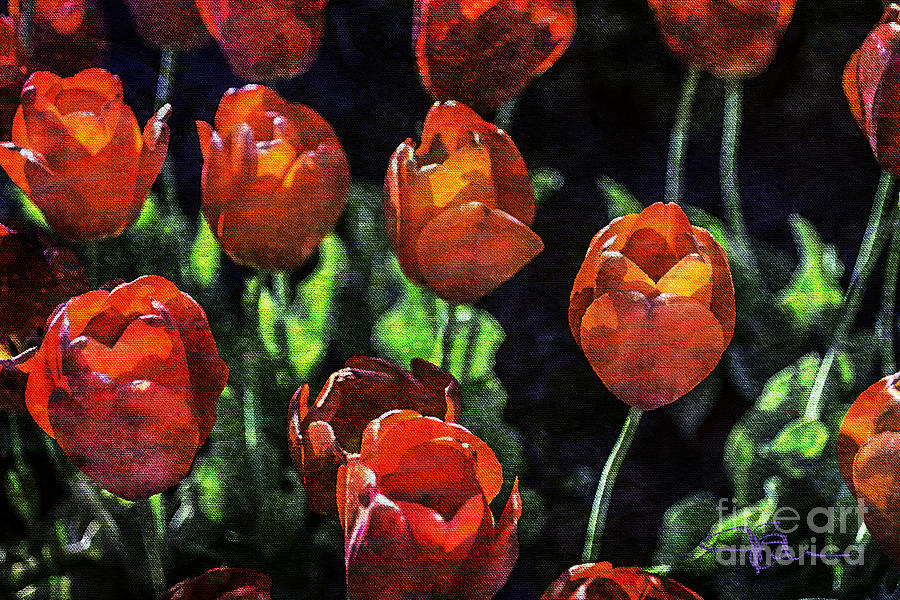 Juicy Red Tulip Kisses Flower Art Painting by Jani Bryson