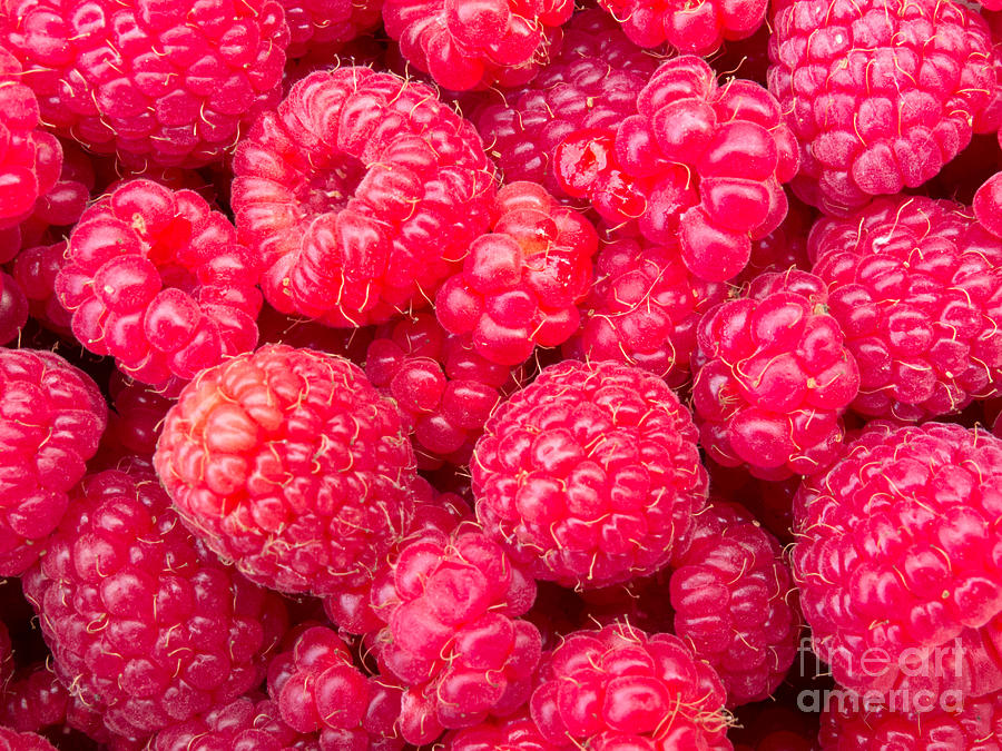 Juicy Ripe Raspberries Background Texture Pattern Photograph