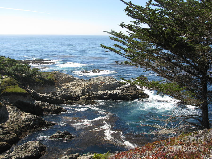 Julia Pfeiffer Burns State Park Photograph by Carol Veiga - Fine Art ...