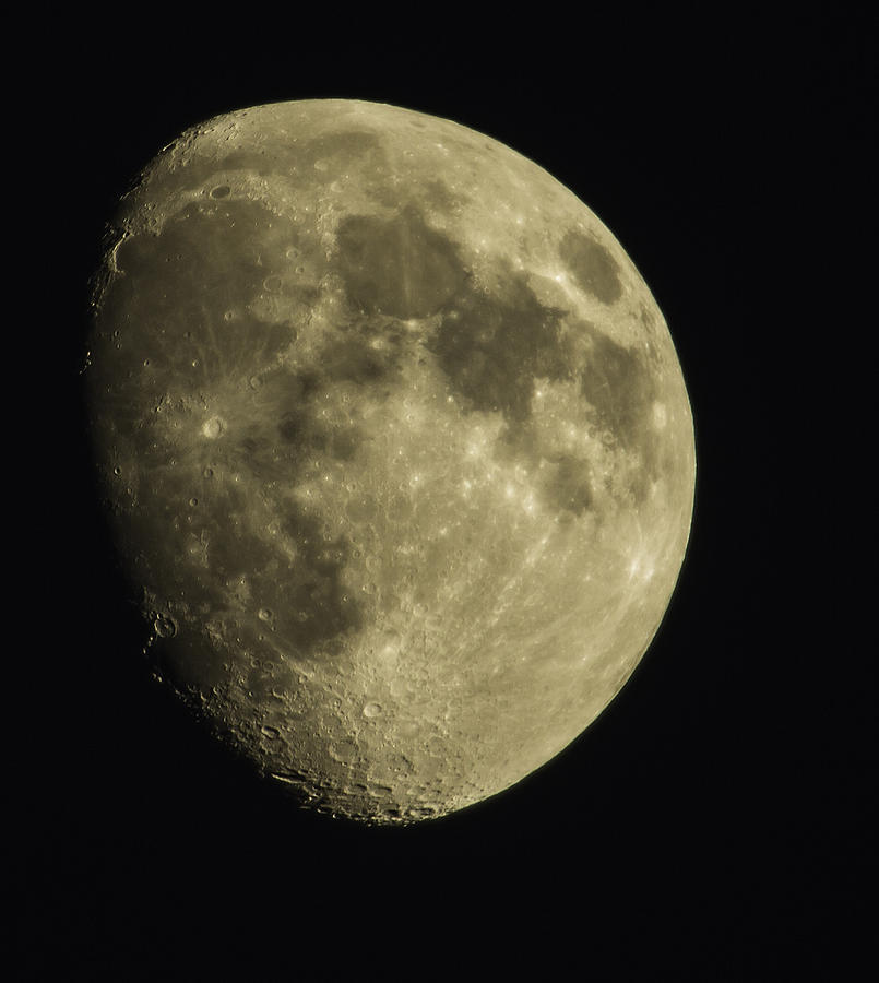 Julies Moon Photograph by Thomas Young