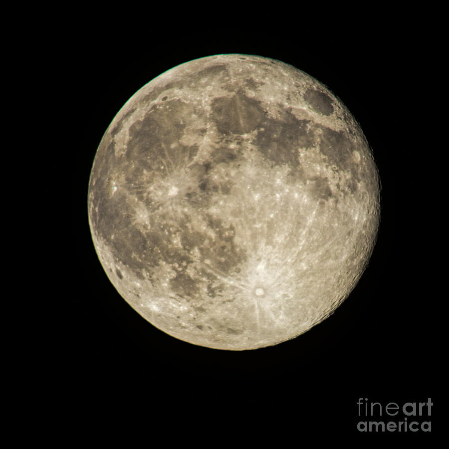 July 2014 Full Moon Photograph by Dave Bosse