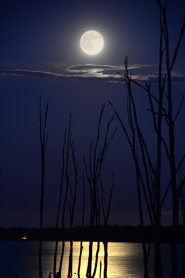 July 2014 Super Moon Photograph by Raymond Salani III
