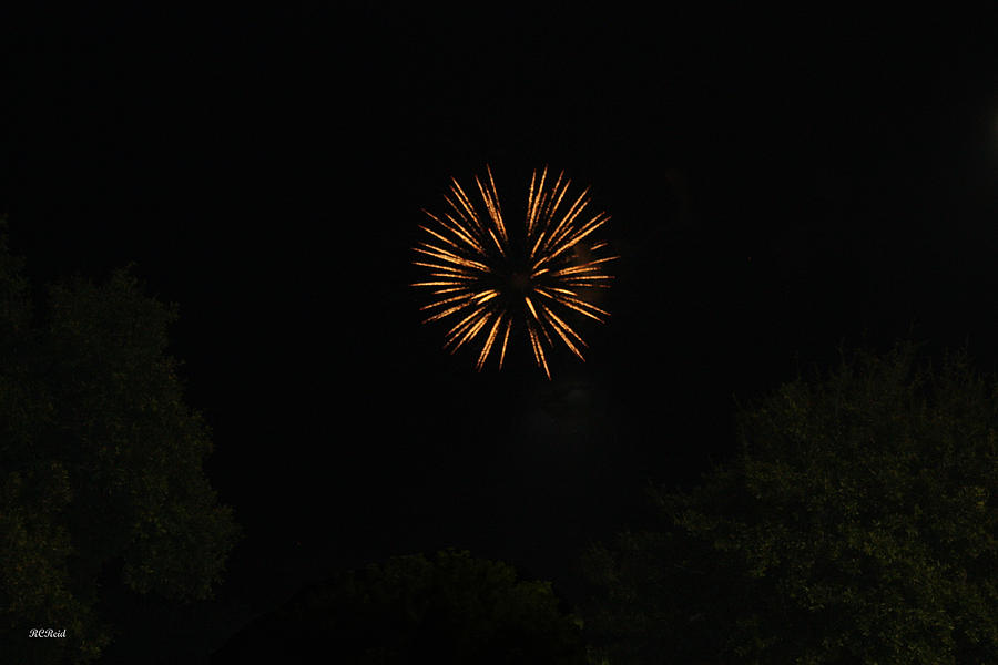 July 4th Fireworks Sugden Regional Park 2 Photograph by Ronald Reid
