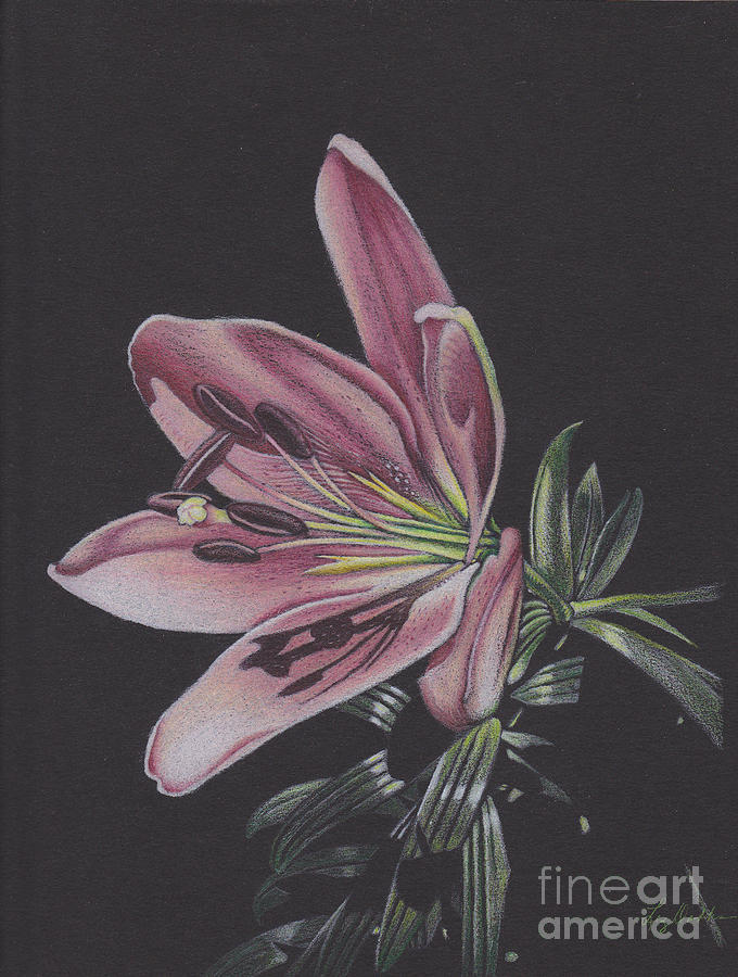 July by Elizabeth Dobbs July by Elizabeth Dobbs