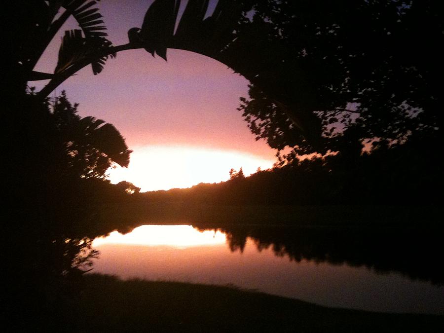 Sunset Photograph - July Florida Sunset by Shelley Overton