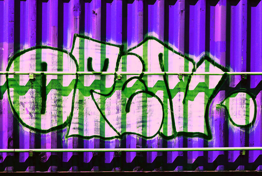 July Graffiti 3 Photograph by Laurie Tsemak