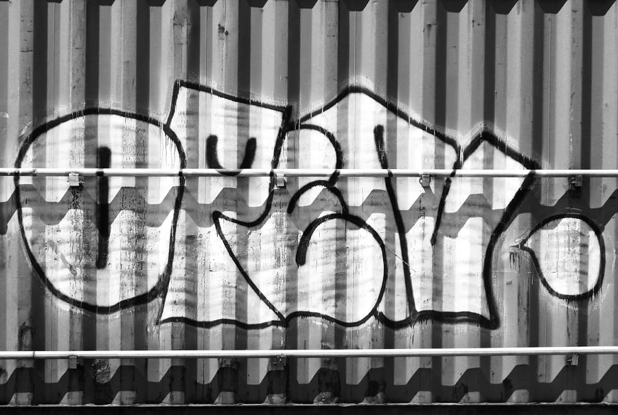 July Graffiti 4 Photograph by Laurie Tsemak