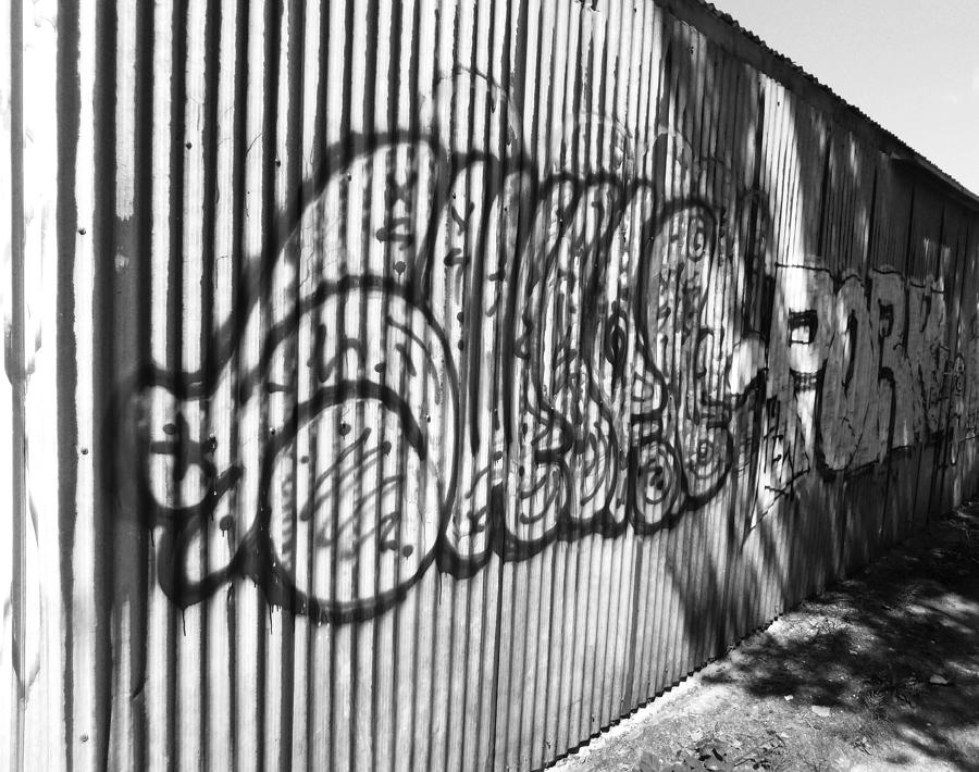 July Graffiti 5 Photograph by Laurie Tsemak