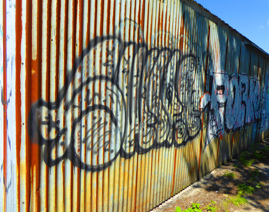 July Graffiti 6 Photograph by Laurie Tsemak