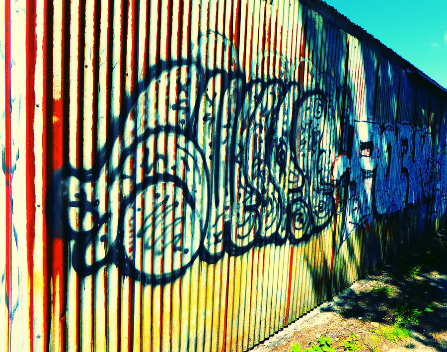 July Graffiti 7 Photograph by Laurie Tsemak