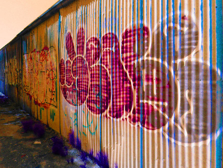 July Graffiti 9 Photograph by Laurie Tsemak
