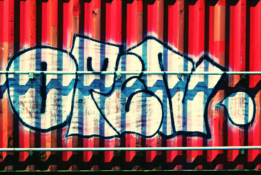 July Graffiti Photograph by Laurie Tsemak