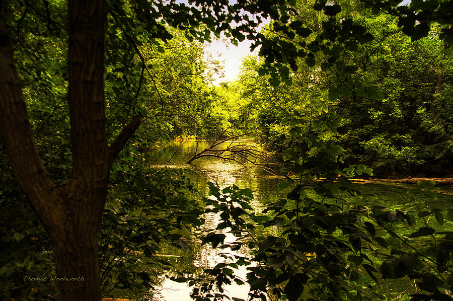 July Indian Lake Looking North Photograph by Thomas Woolworth - Fine ...