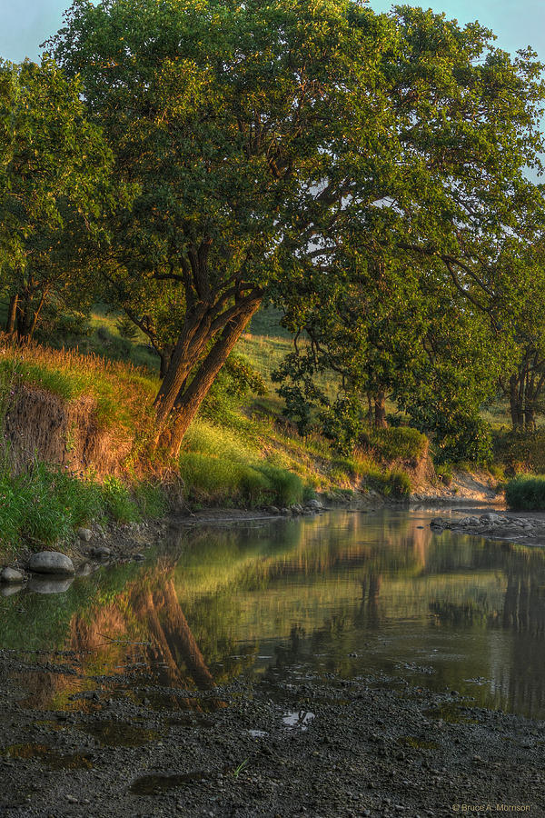 July Morning along the Creek Photograph by Bruce Morrison