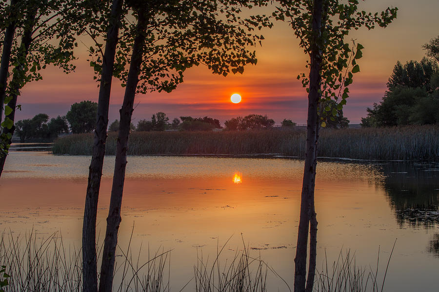 July Sunrise Photograph by Marc Crumpler