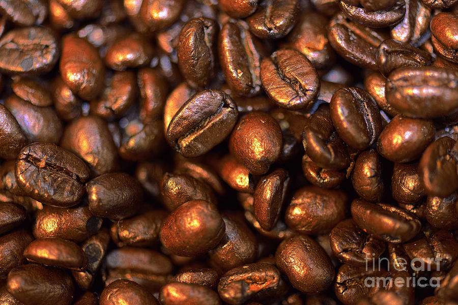 Coffee Bean Photograph - Jumbo Java by Aloha Art
