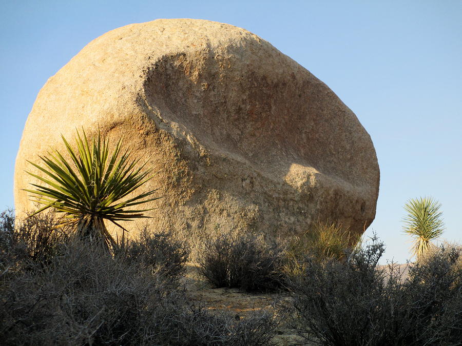 Jumbo Rocks At Joshua Tree 2 Photograph by Randall Weidner