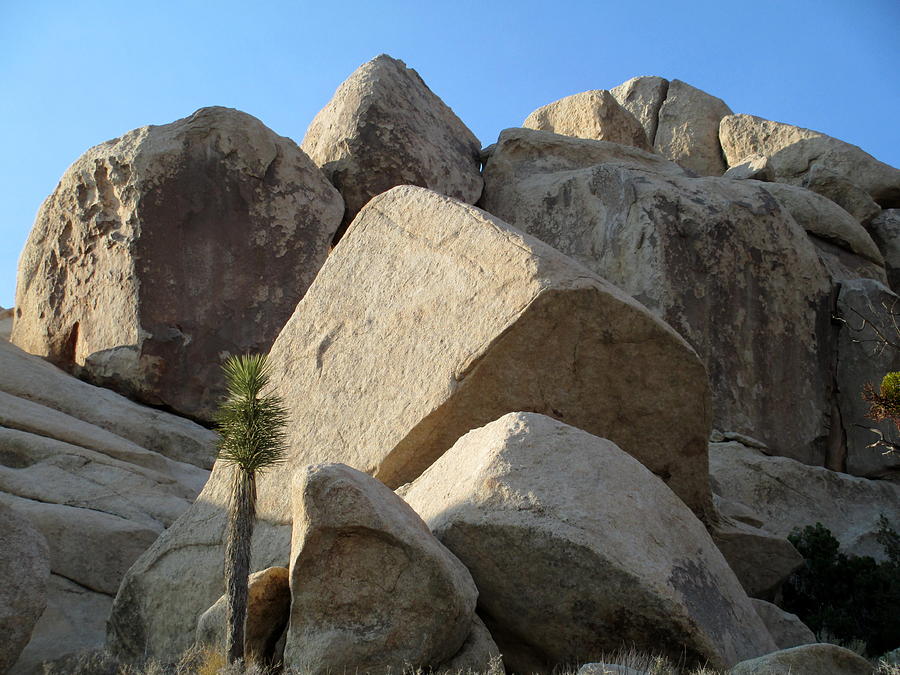 Jumbo Rocks At Joshua Tree 3 Photograph by Randall Weidner