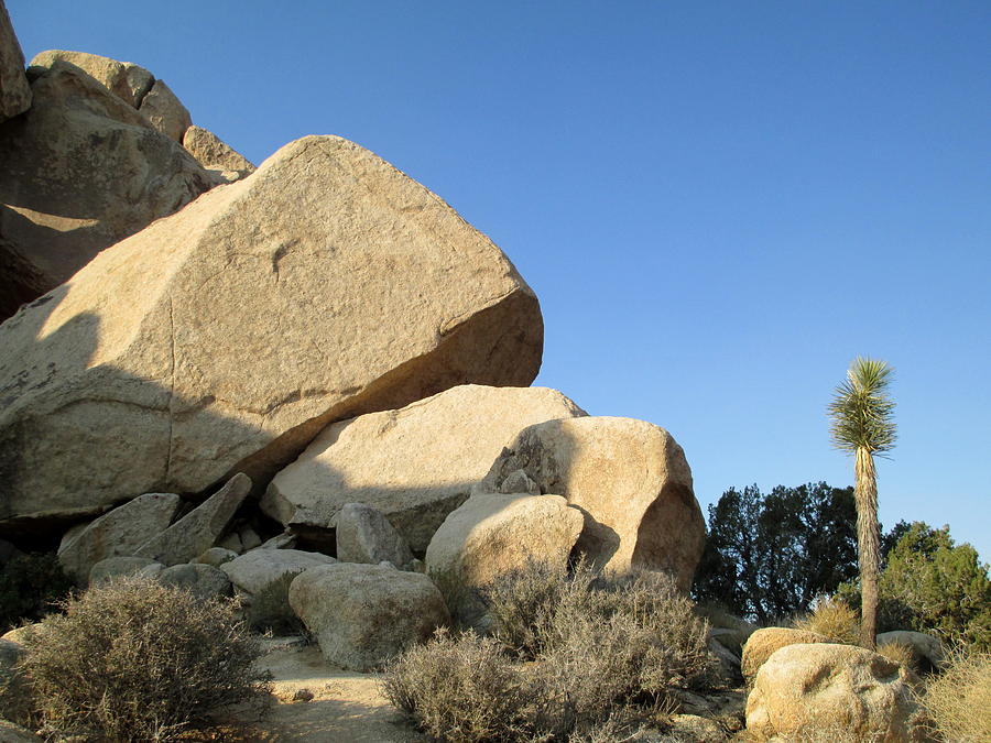 Jumbo Rocks At Joshua Tree 5 Photograph by Randall Weidner