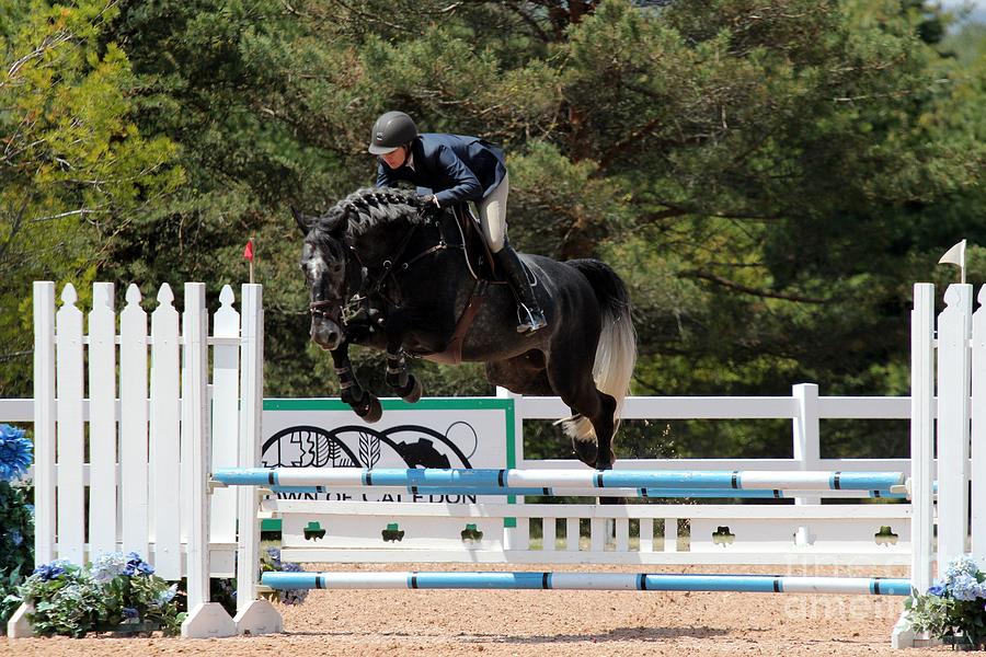 Jumper 105 Photograph by Janice Byer