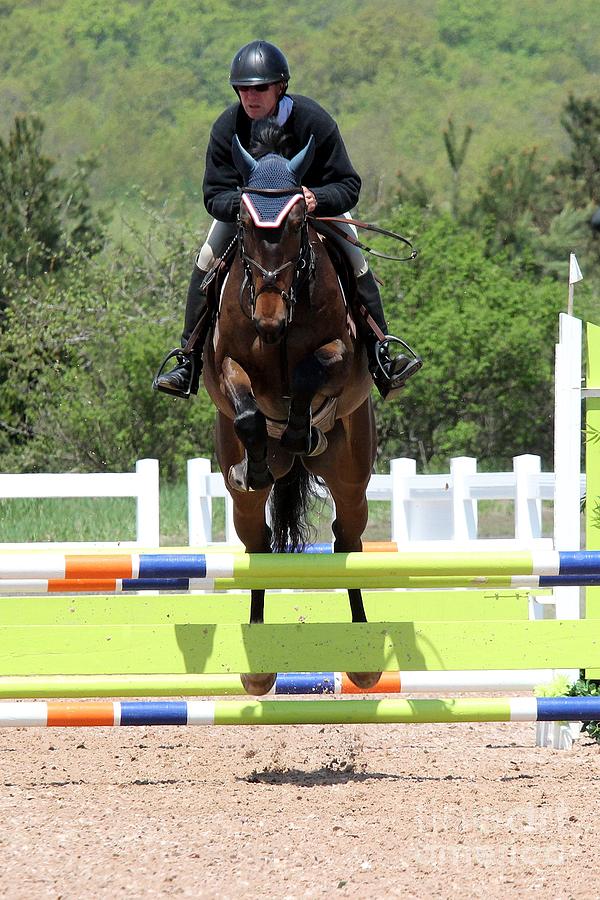 Jumper 106 Photograph by Janice Byer