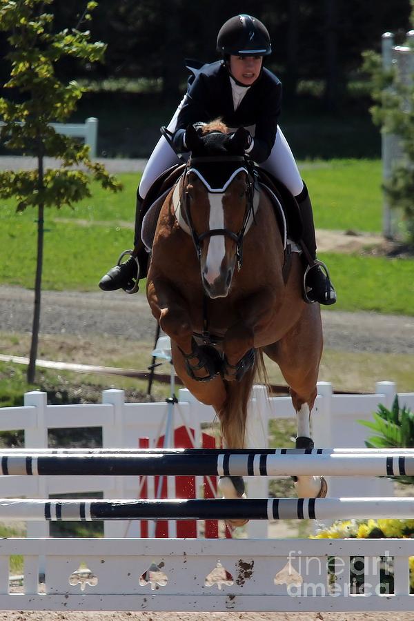 Jumper 71 Photograph by Janice Byer
