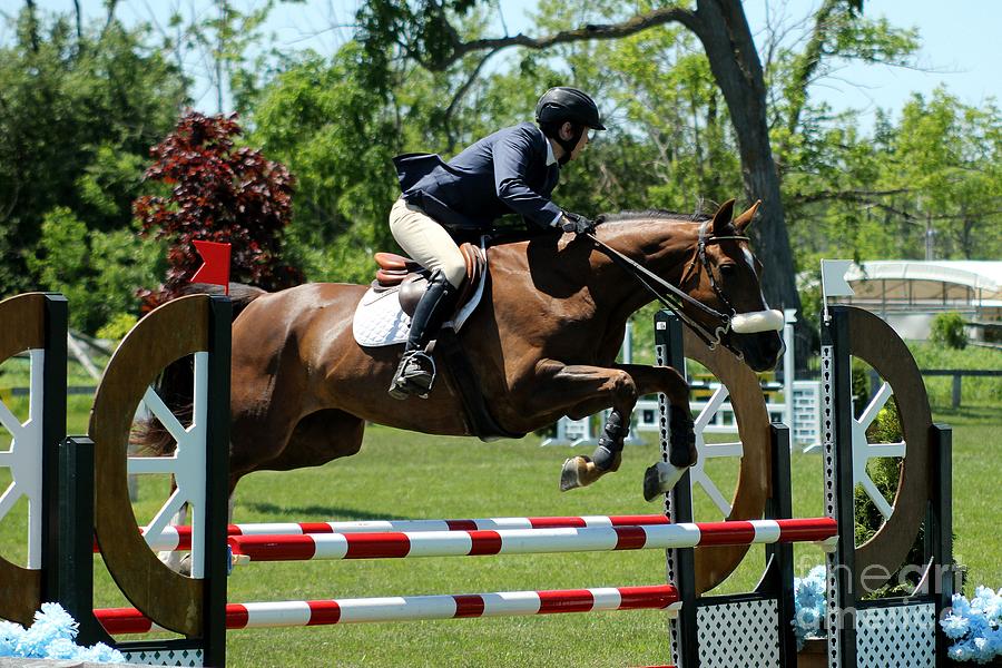 Jumper101 Photograph by Janice Byer