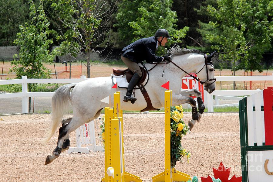 Jumper105 Photograph by Janice Byer