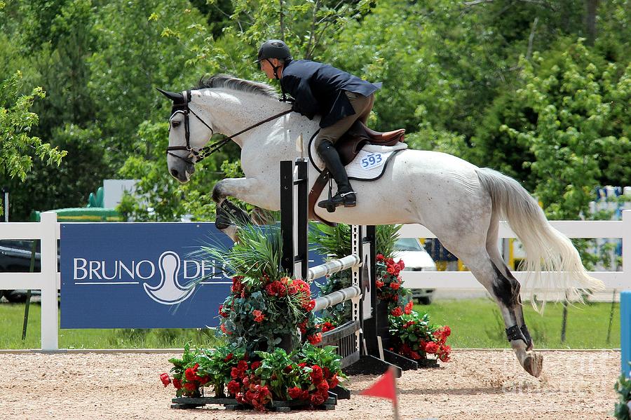 Jumper106 Photograph by Janice Byer